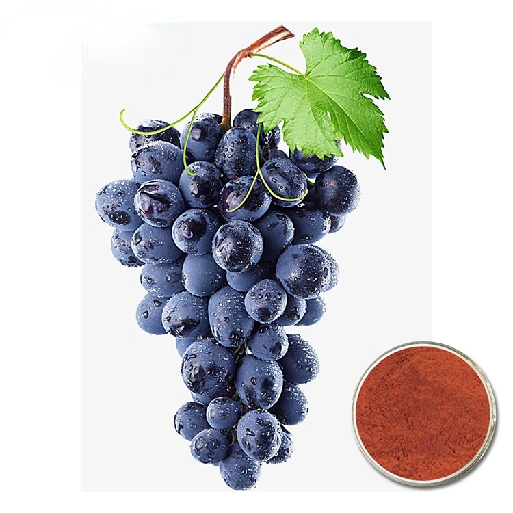 Best price with high quality 100% pure and natural proanthocyanidin( OPC ) grape Seed Extract