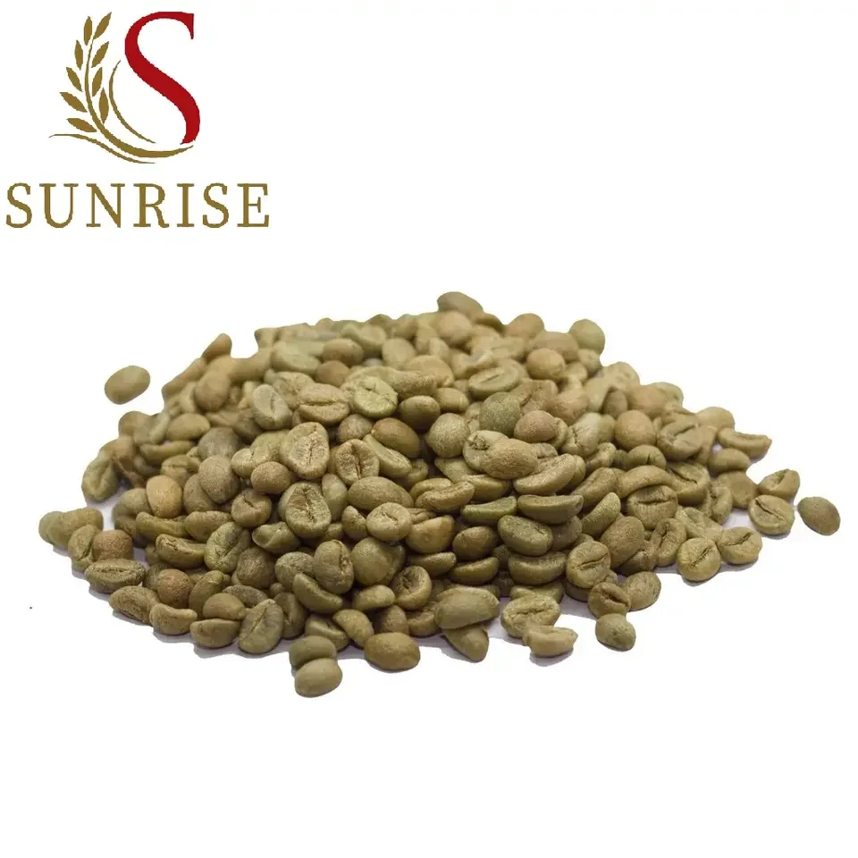 Manufacture Wholesale Dried Natural Robusta Green Coffee Beans Vietnam  on sale 2023 Whatsapp:+84-975807426 Lucy