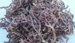 Натуральный сушеный морской мох Eucheuma Cottonii водоросли для продажи Akina по