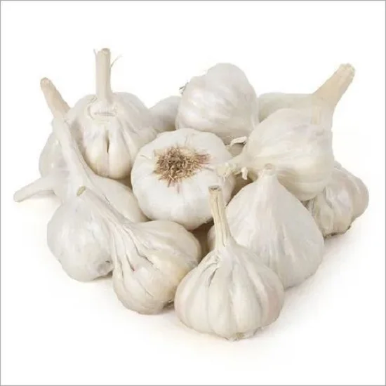 FRESH  GARLIC VEGETABLE  BEST PRICE