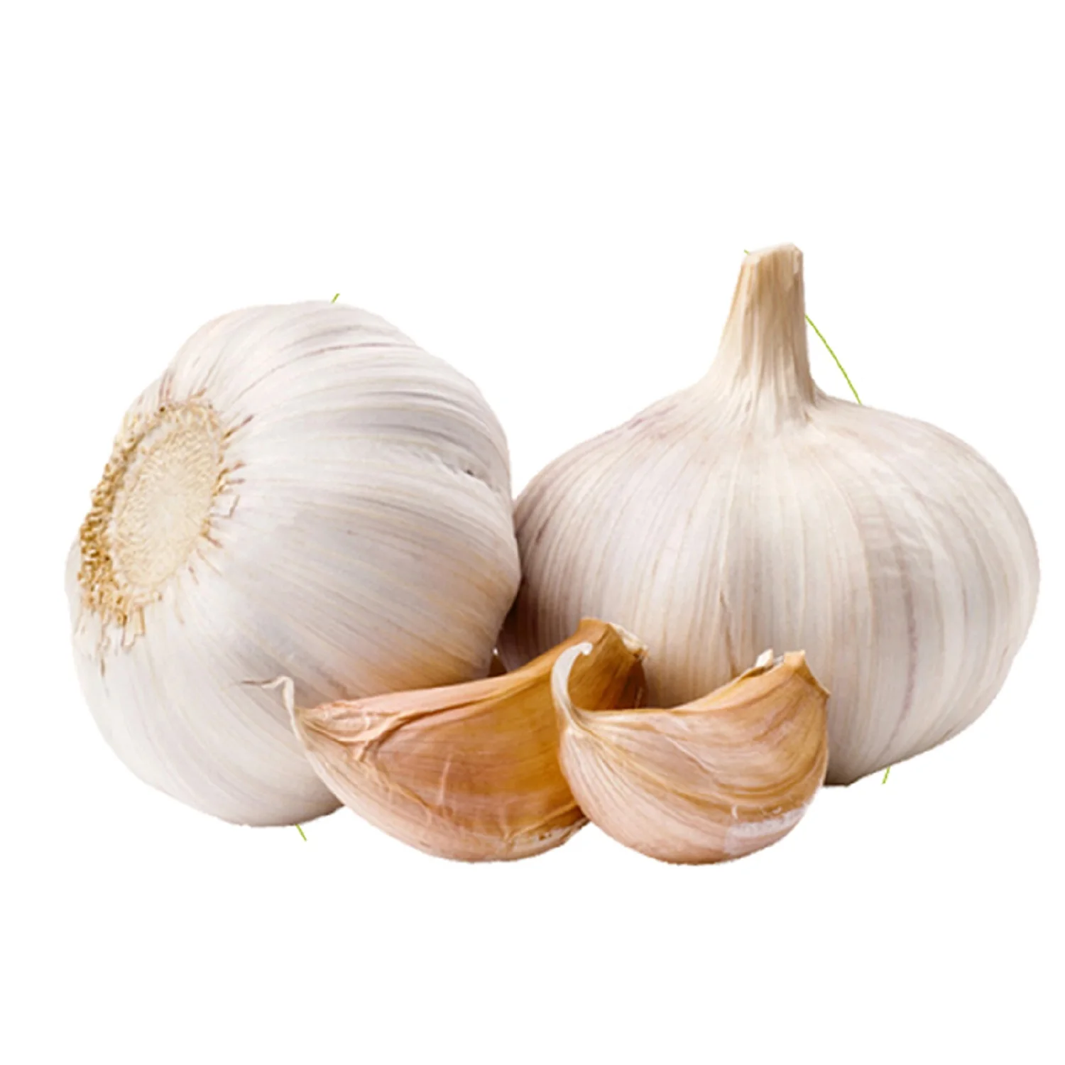 Fresh Garlic White Garlic Normal White Garlic for sale.