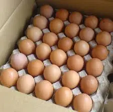 Fresh Chicken Eggs / Round Table Eggs