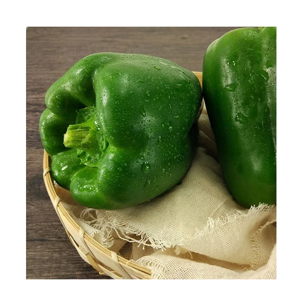 Свежий стручковый перец/качественный свежий стручковый перец для продажи.