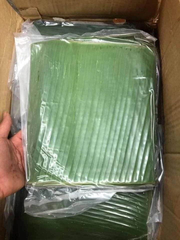 Price Color Whole Package Top Sale Shape Processing Banana Leaves Frozen Leaf HUNG TAM VN From
