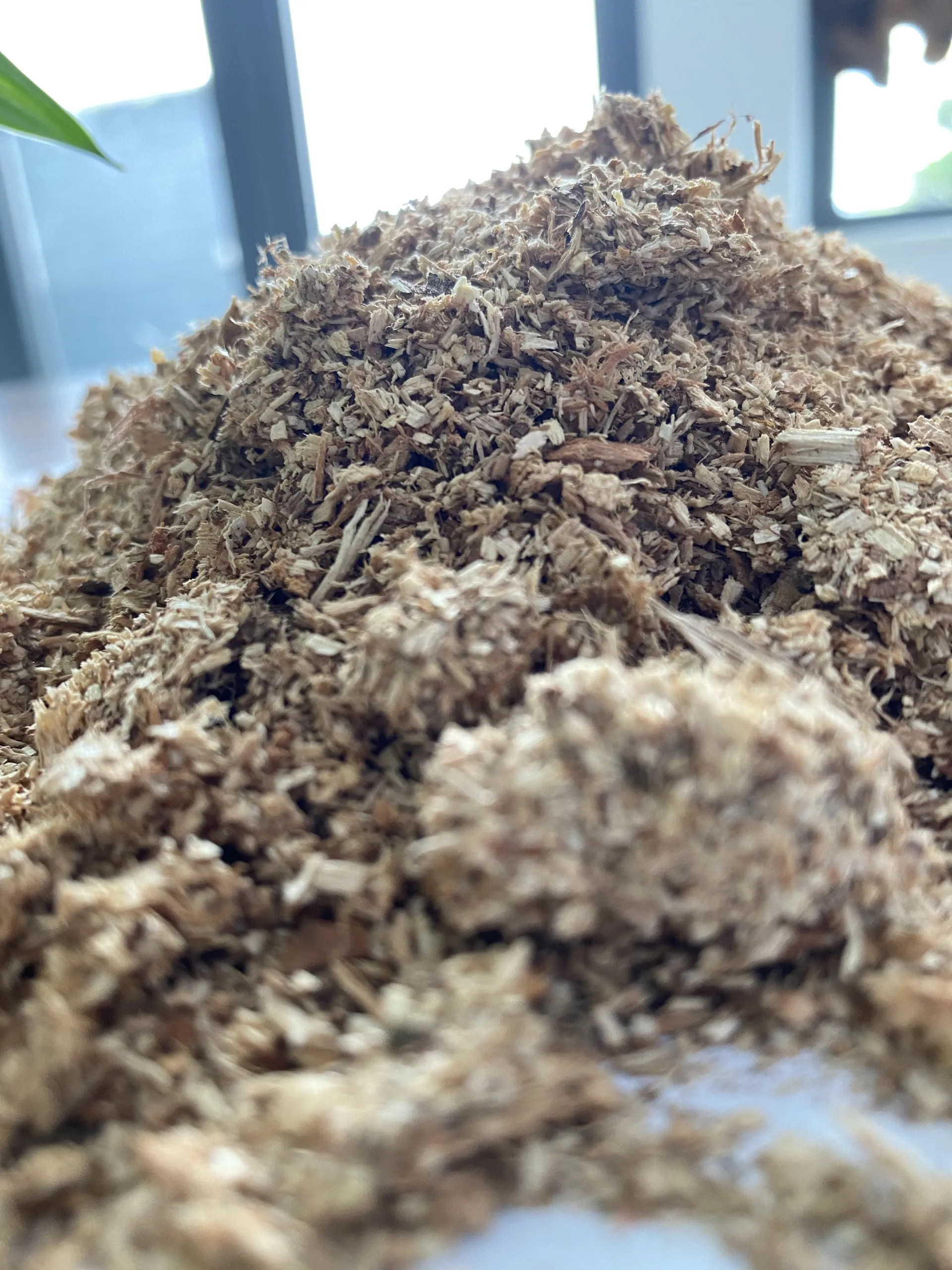 Cheap Wood Sawdust - Wood chips & Wood Shaving for Horses