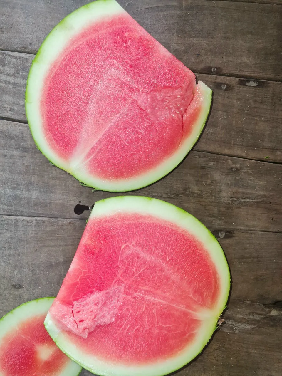 fresh Seedless watermelon wholesales best selling natural sweetness high quality Vietnam export