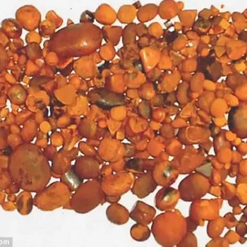 Haoze supply ox gallstones and cow bezoar cow gall stones ox gallstones