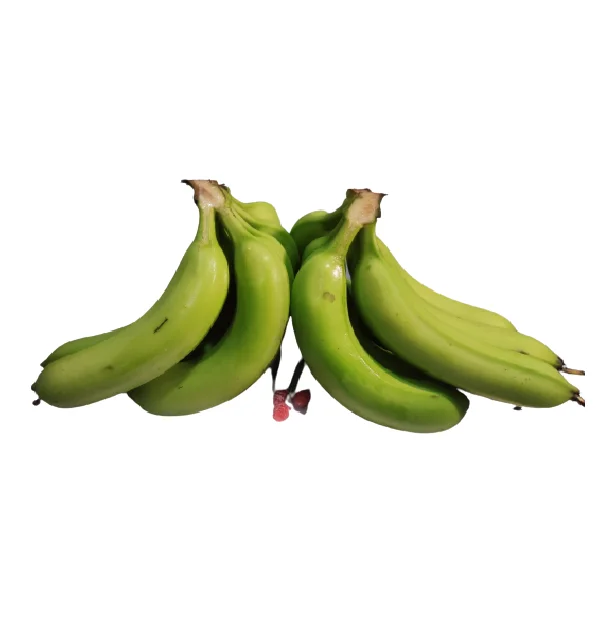Best Sale 100% Natural High Nutrition Customize OEM ODM Service Healthy Fresh Fruit Top Grade A789 Cavendish Banana