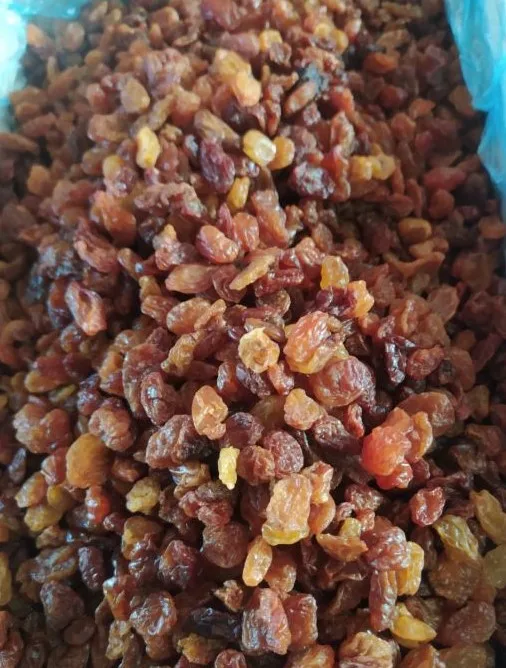 Wholesale Natural Organic Top Grade Brown Raisins Bulk Dried Raisins Dried Fruit From Uzbekistan