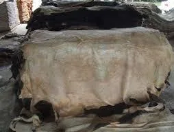 Wholesale  private label best  raw wet salted cattle hides industrial grade 50kg bags 25ton 15days cow sk