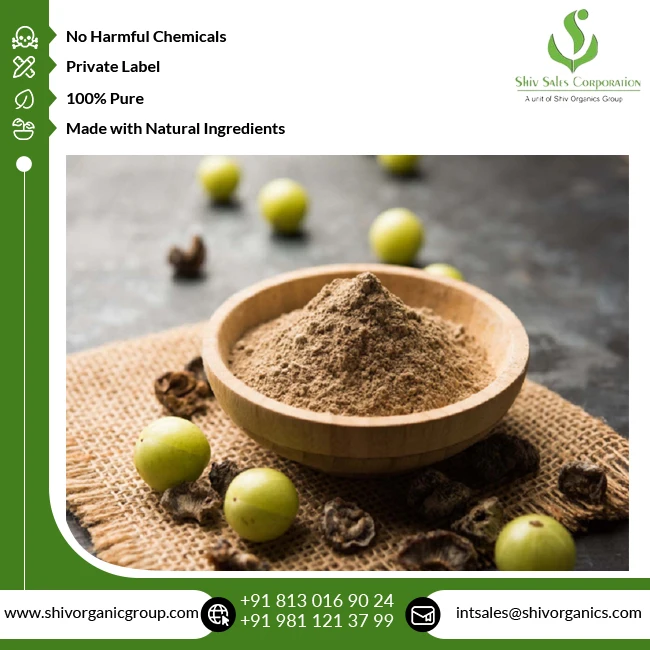 Fresh Quality Cosmetic Grade Wholesale Pure and Natural Amla Extract Powder from Indian Supplier at Bulk Price