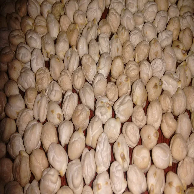 High-Nutrition Low Price Chana Wholesale Chickpea Yellow Peas Available For Sale