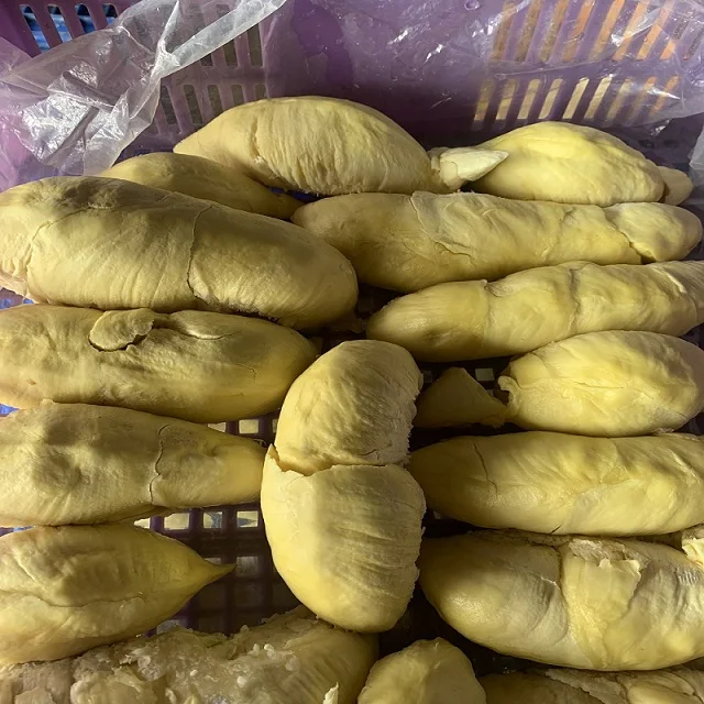 Agriculture Bulk Packing High Quality 12 Months Shelf Life Yellow Color Frozen Processing Sweet Taste Durian Meat From Vietnam