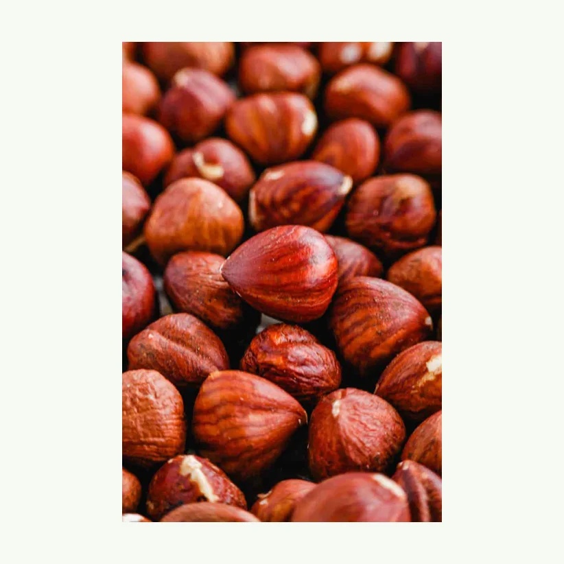 Natural taste organic grown Hazelnuts/ Hazelnuts Inshell & Kernels ready for market