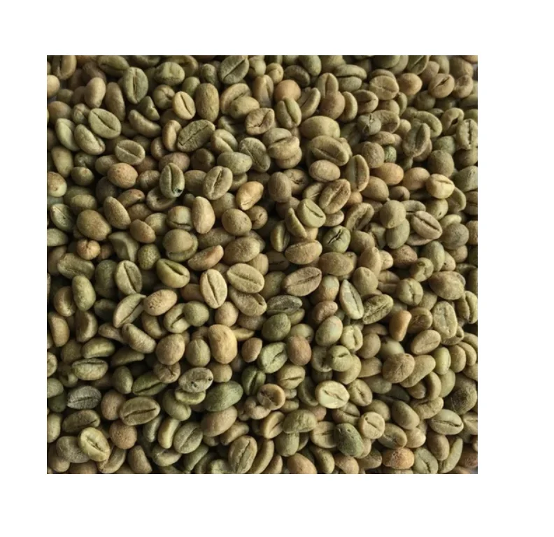 Premium Arabica Green Coffee Beans cheap Rates Perfect for Gourmet Coffee Enthusiasts Quality Product Fast Shipping Available