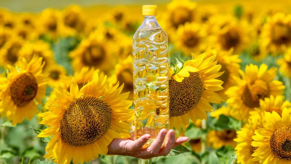 Cheapest Price Edible Sunflower Oil / Sunflower Refined Oil / RBD Sunflower Oil Available Here For selling