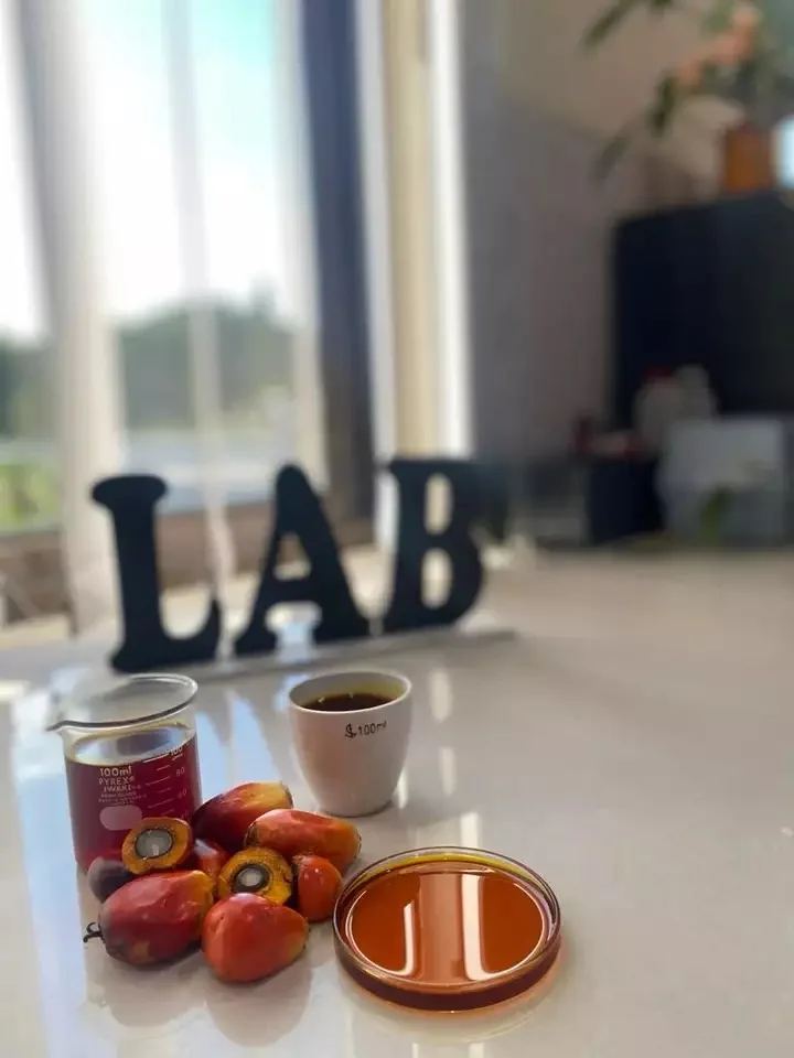 gvgfgfhfhf - Copy.jpg