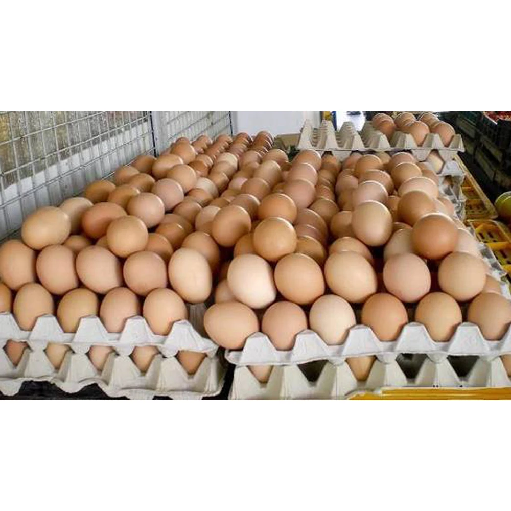 Farm Fresh Chicken Eggs / Brown And White Chicken Eggs Manufacturer In Bulk Top Grade