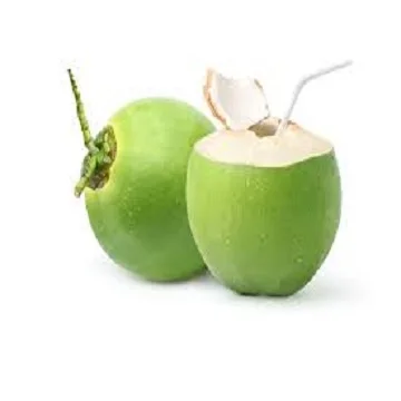 Wholesale Packing Organic Fresh Coconut
