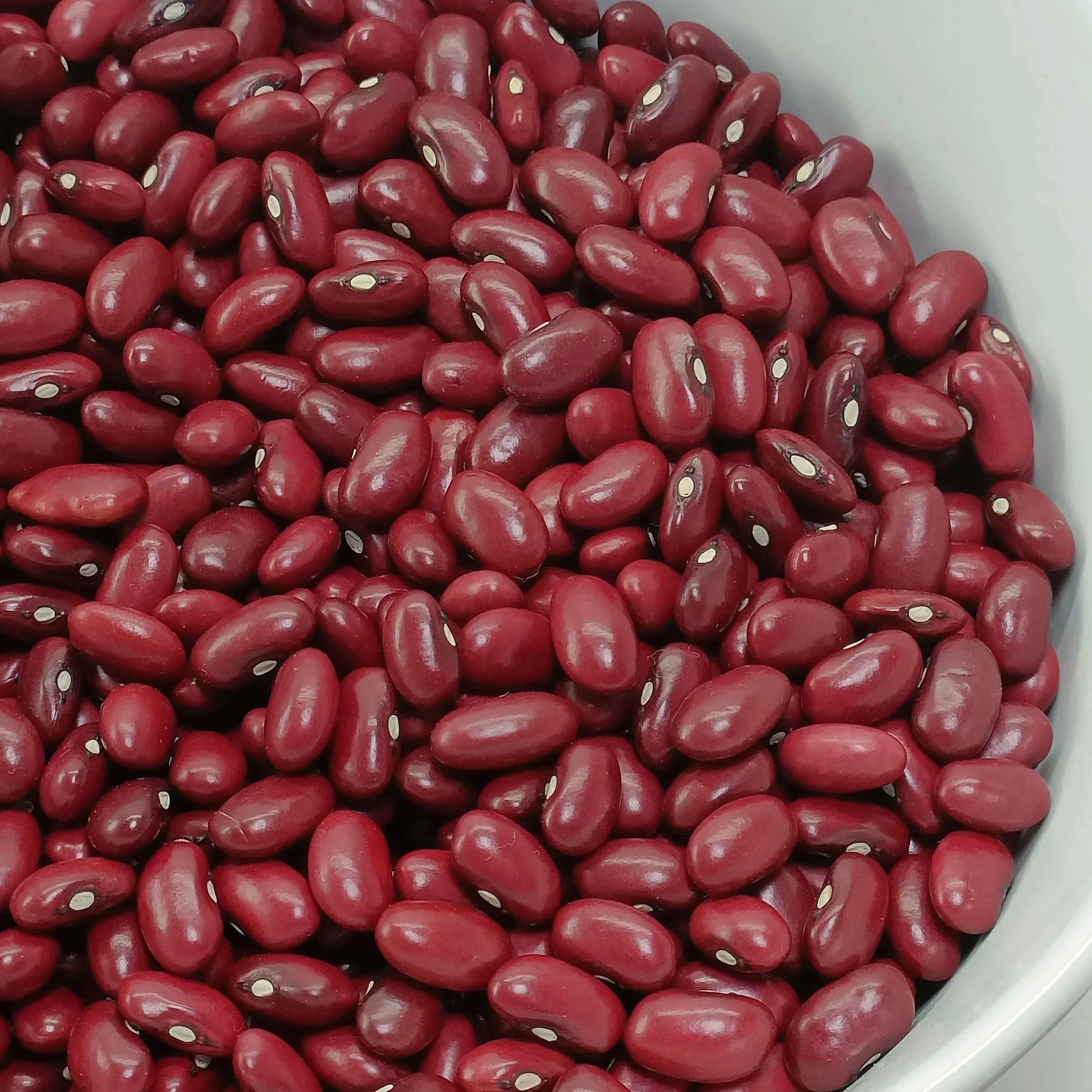 Wholesale Ethiopian Origin Natural Red Kidney Beans, Export Quality, Latest Price, Moisture 14% Max, Direct Sale