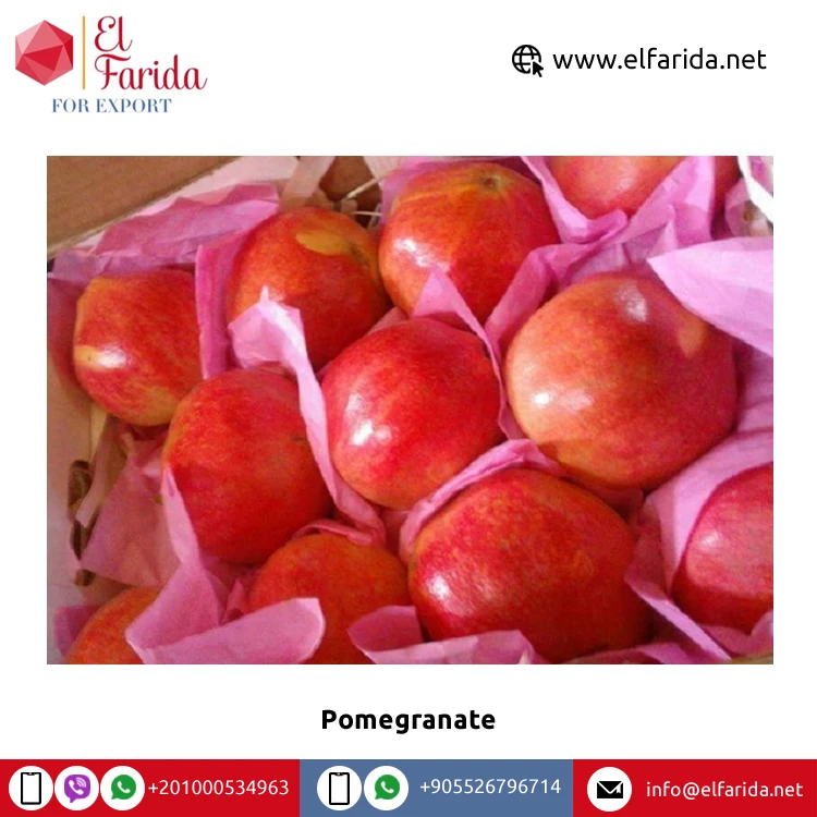 Best Quality Wholesale 100% Natural Sweet Delicious Egypt Origin Fruits Red Fresh Pomegranate at Competitive Price