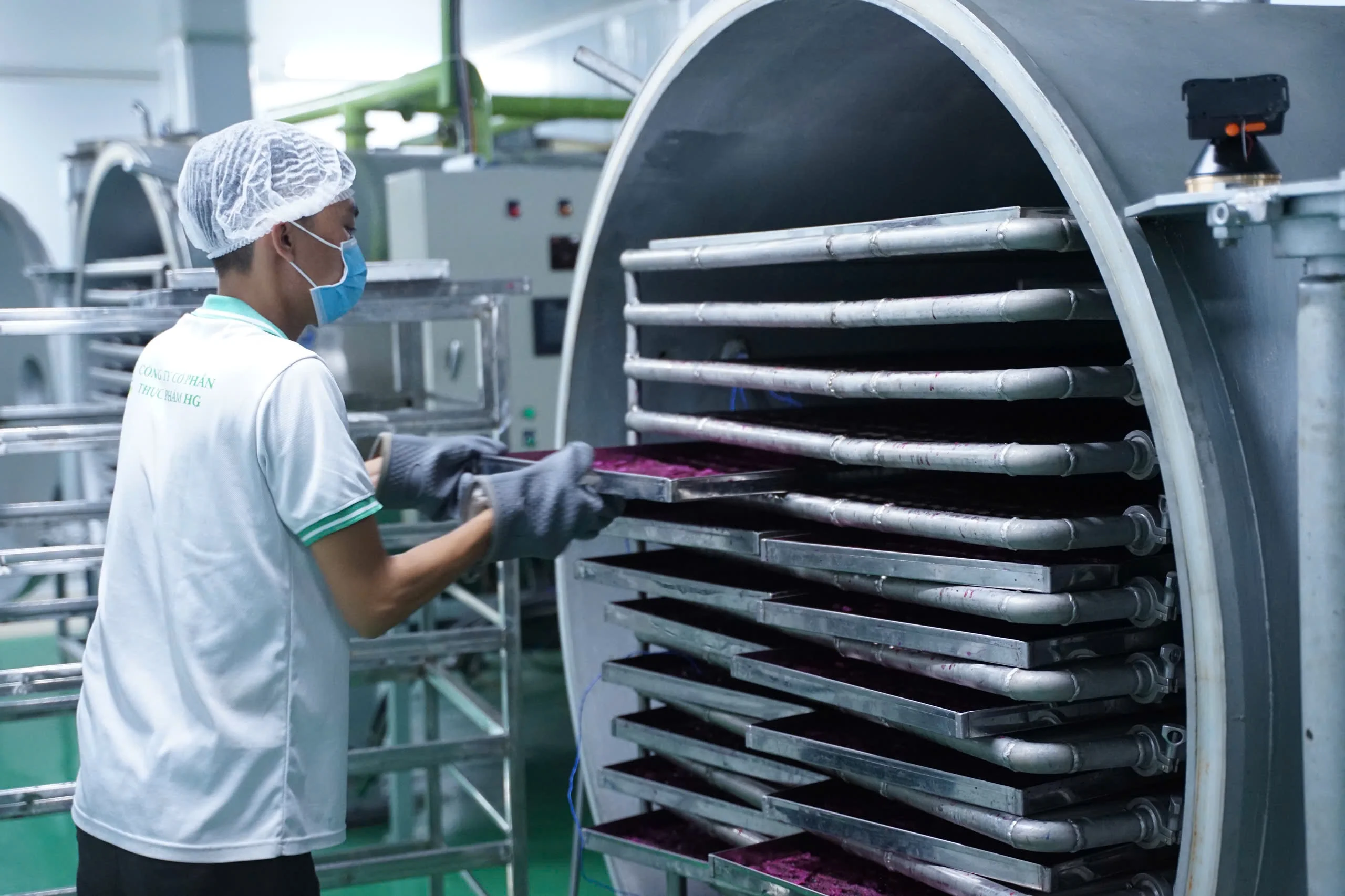 Оптовая продажа здоровая закуска вьетнамская заморозка фрукты красного дракона Органическая низкая цена высокое качество оптом