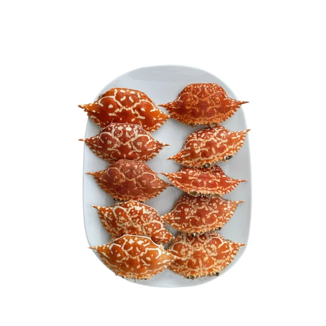 Natural Crab Shell Dried Whole Fish Tank Decorative Collection Preferential Import and Export Prices for 2024