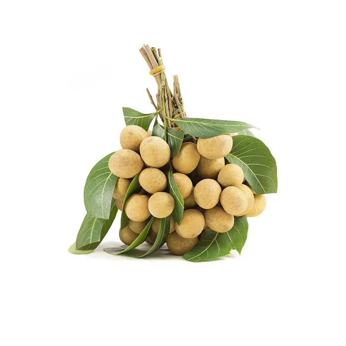 Highly Recommended High Quality with Best Seller Premium Longan from Agriculture Product from Thailand