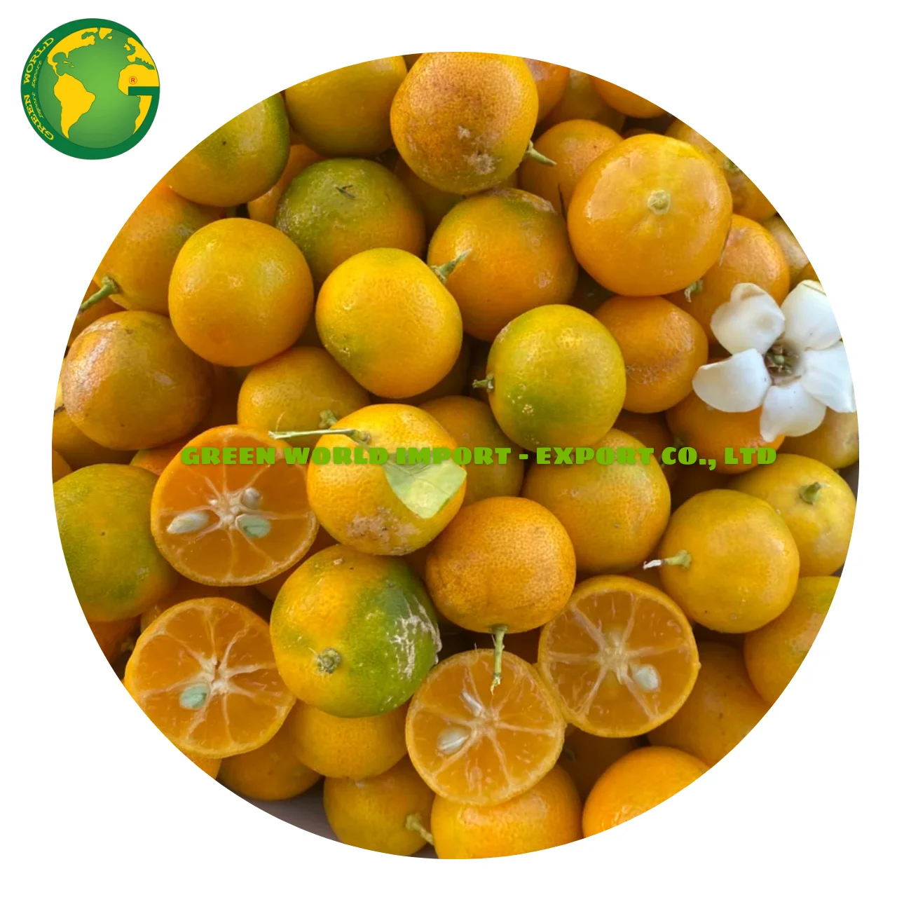 HIGH QUALITY VIETNAMESE CALAMANSI PUREE -  100% FRESH CALAMANSI - LOWEST PRICE IN THE MARKET - BEST SELLER IN THIS HOT SUMMER