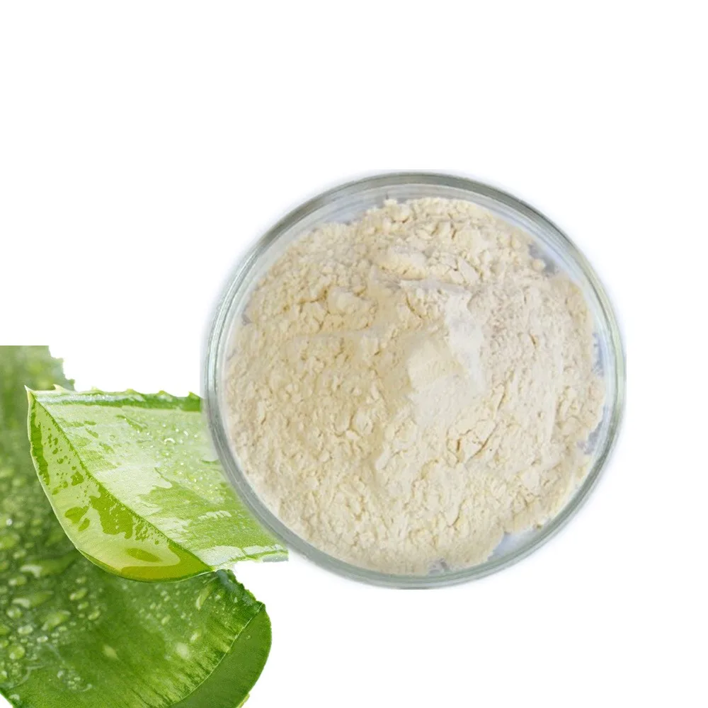 GMP ISO certified manufacturer Aloe Vera Extract Powder 100x Best Price India