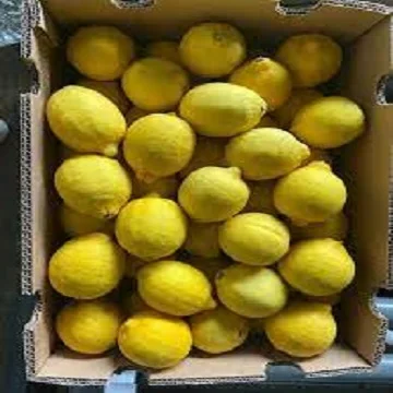 Wholesales Fresh Lemon Eureka Lemon Citrus Fruits Lemon For Sale