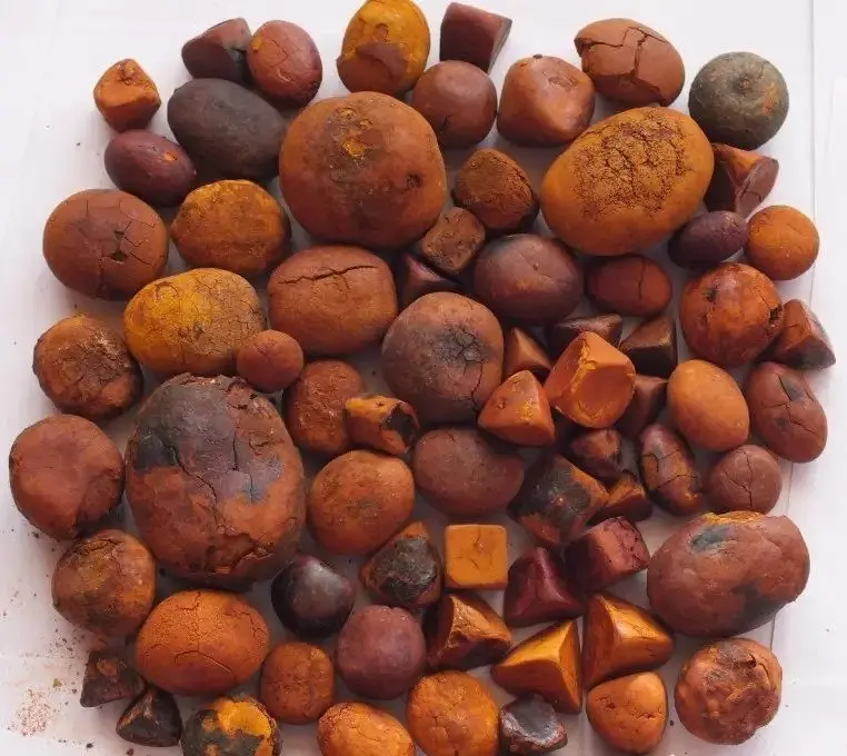 Whole Red Antlers Horse Deer Black Venom Bee Hair Ox Gallstones