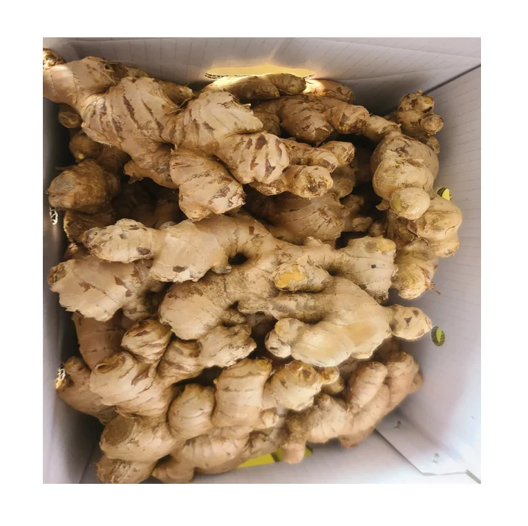 !00% Natural Fresh Ginger from Vietnam