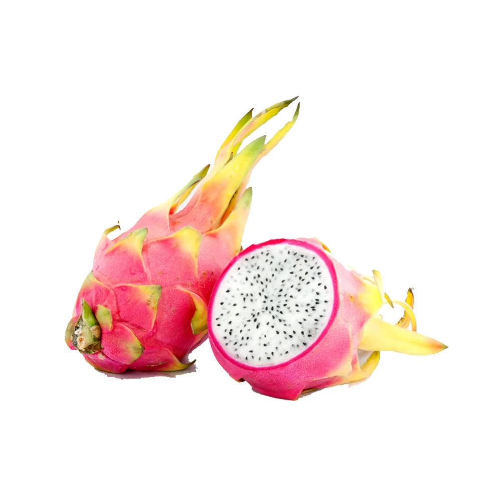 Свежий фрукт дракона высокого качества ручной работы из вьетнамских ферм по конкурентоспособным ценам для всех