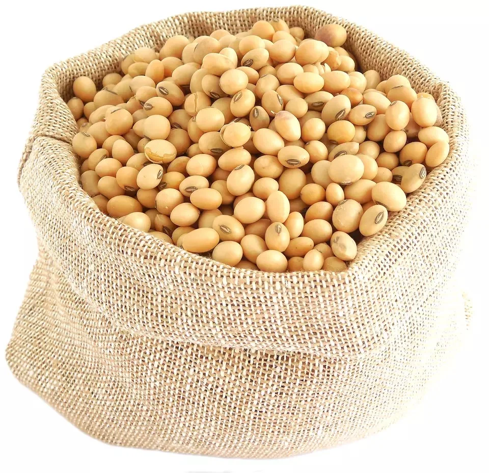 Non GMO семена соевых бобов низкая цена Самые продаваемые