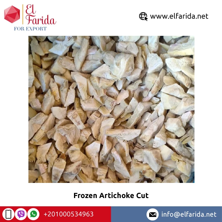 Top Selling Premium Grade Frozen Vegetables Artichoke Cut at Reasonable Market Price from Egypt Origin Exporter