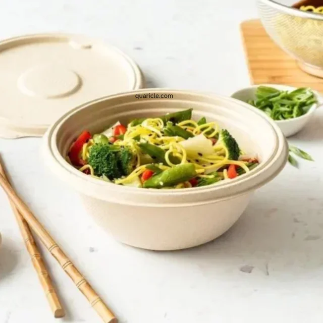100% Natural 750ML LEAKPROOF Sugarcane Pulp Bagasse Round Bowls for Soups Salad Food Takeaway Hotel Home Kitchen Birthday