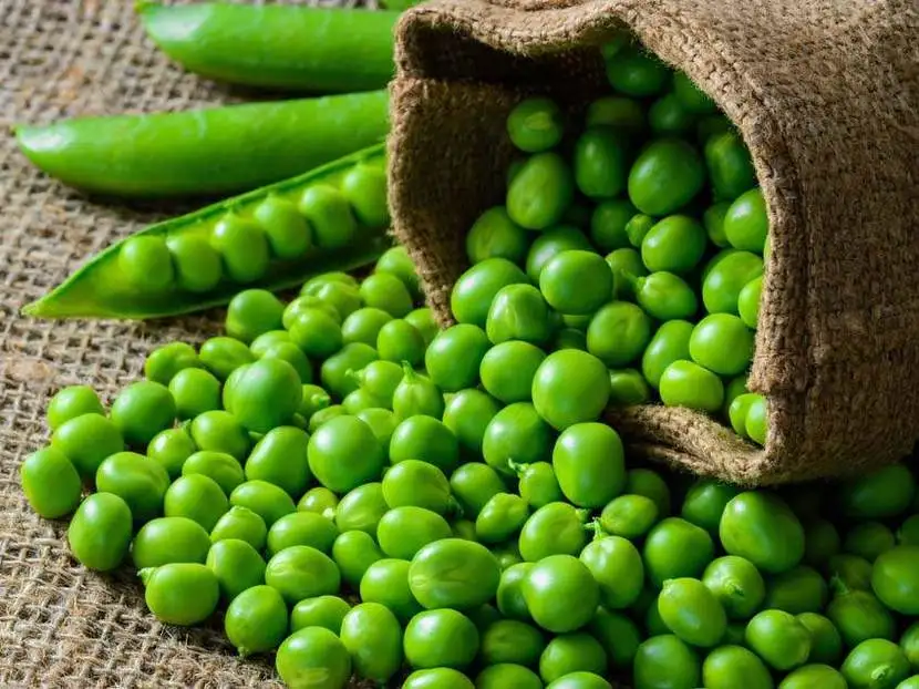 Wholesale healthy organic dry Green Peas / New Crop Top Grade green peas