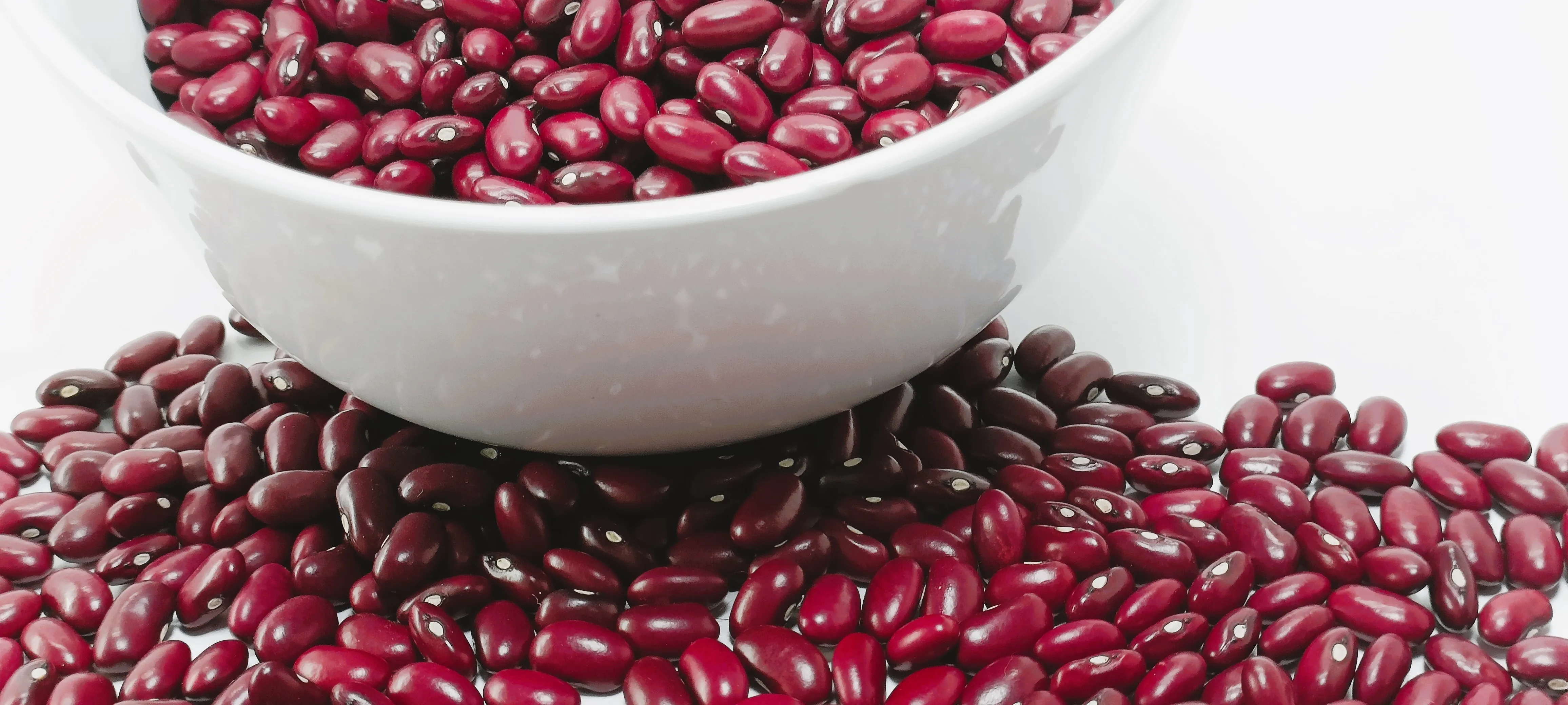 Ethiopian High Quality Red Kidney Beans Fully Machine Cleaned + Handpicked + Polished Purity 99.9% Bulk Packing in PP Bags Beans