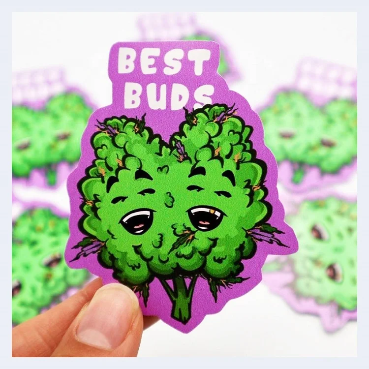 Weed Smoking Stickers  Vinyl Stickers for Laptop Car Skateboard Luggage Hydroflasks Phone Guitar DIY Graffiti Stickers