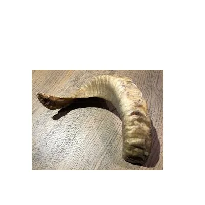 Classic Sheep Holder Shofar and Goat Horn Polished Lamb Customized Size Ram Horn Shofar Exciting Best Selling