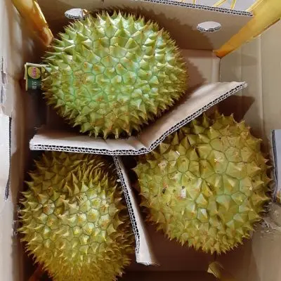 Fresh Monthong Durian from Vietnam with Bright Yellow and Good Taste | Best seller 2022 (Wholesale)