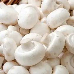Оптовая продажа сушеных грибов shiitake 1 кг 4 см цены на рестораны