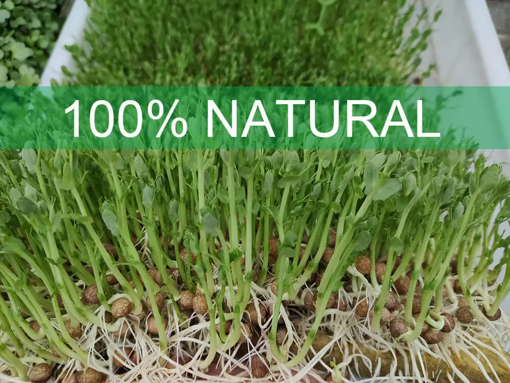 UPuper eco biodegradable microgreens growing mats rock wool hydroponic grow pad