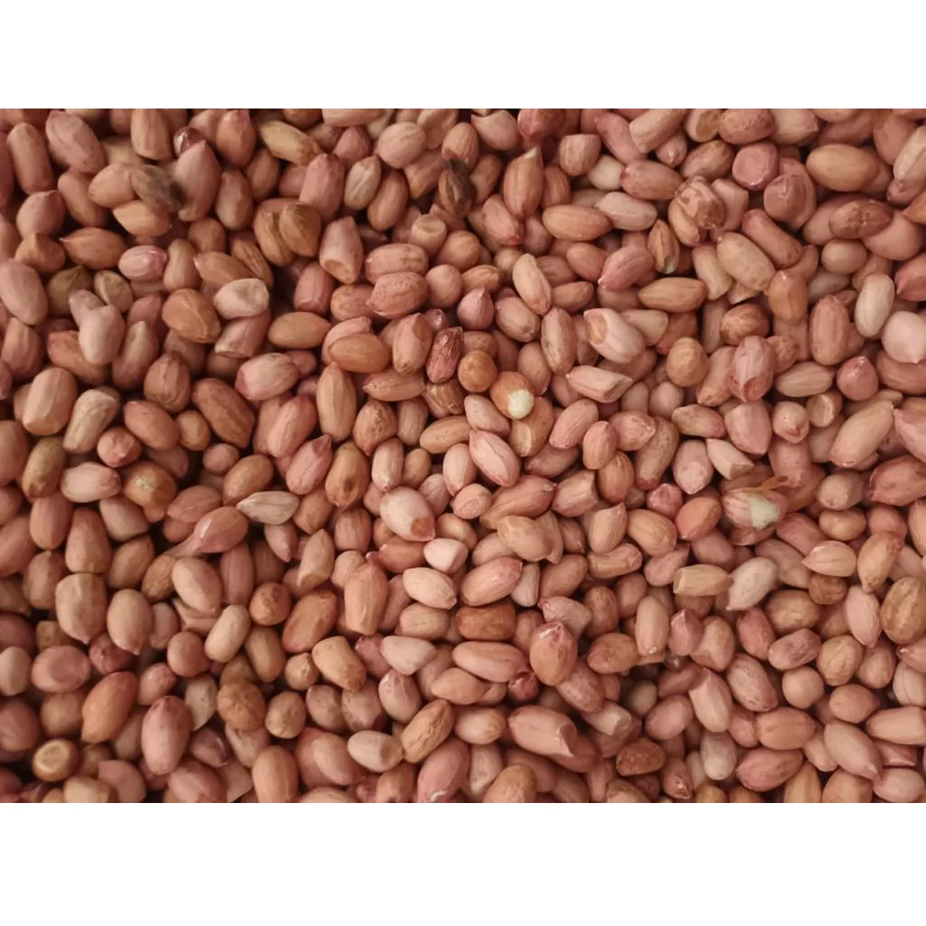 PEANUT KERNEL BOLD 40-50.png