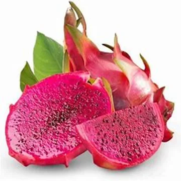 Fresh Natural Red Dragon Fruits available at Wholesale