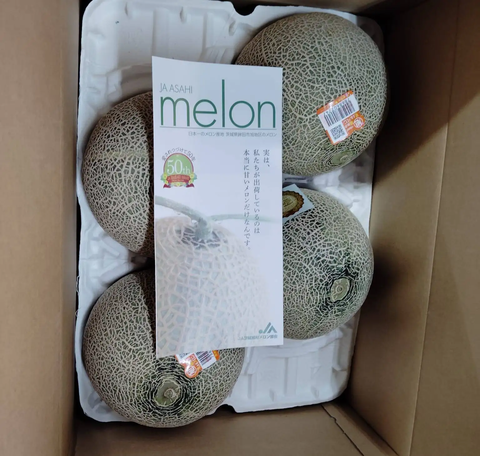 Japanese Premium Quincy Melon Ibaraki Brix 18% up