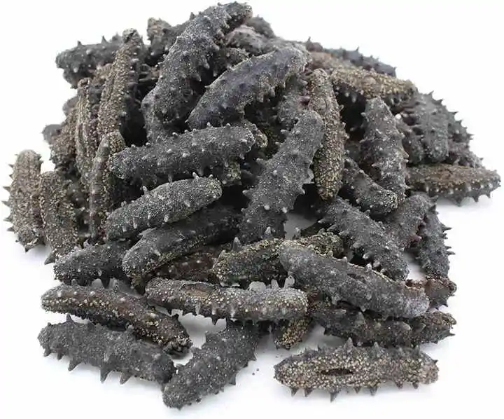 Buy Top Quality Frozen Sand Fish Sea Cucumber Dried Sea Cucumber Food & Beverage Seafood Cucumber