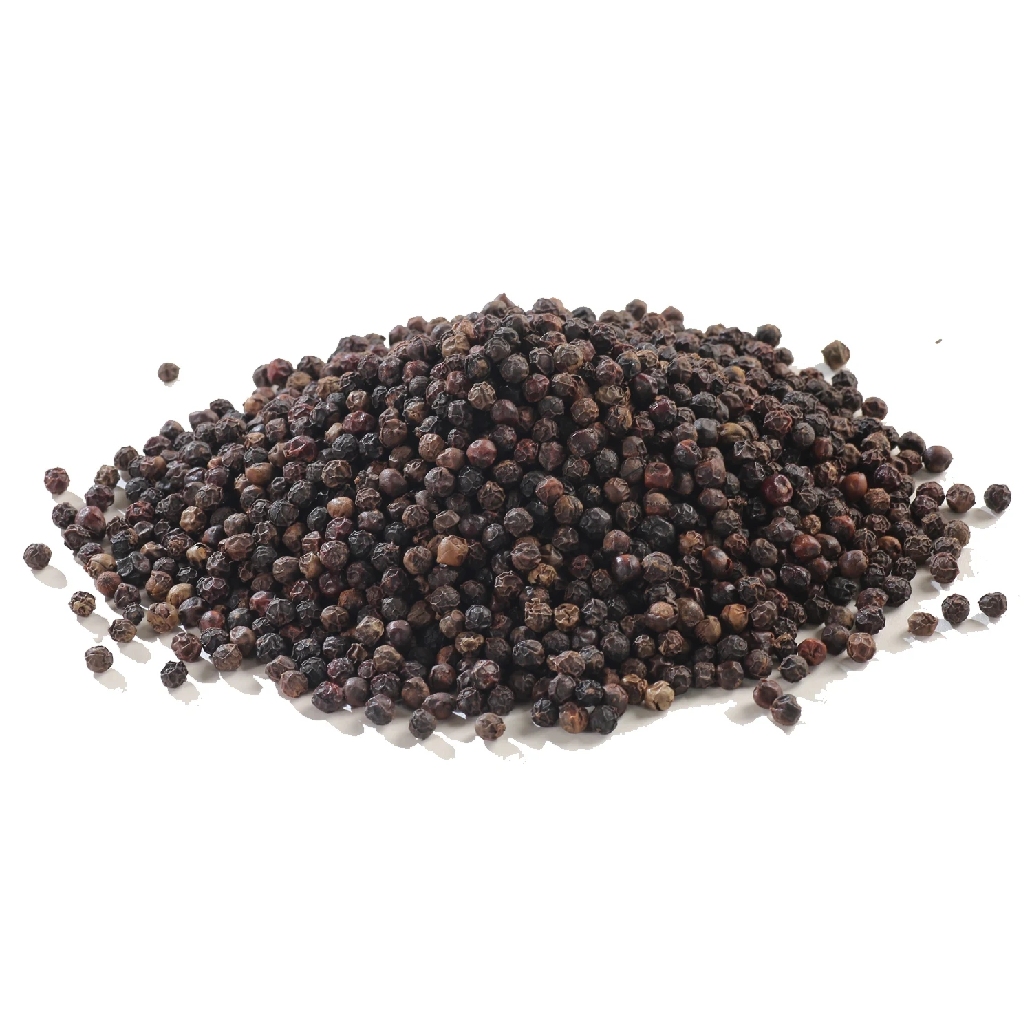 Vietnam factories supply Black Pepper bean - Low Price  Hot Spicy Black Peppercorn 550 g/l MC