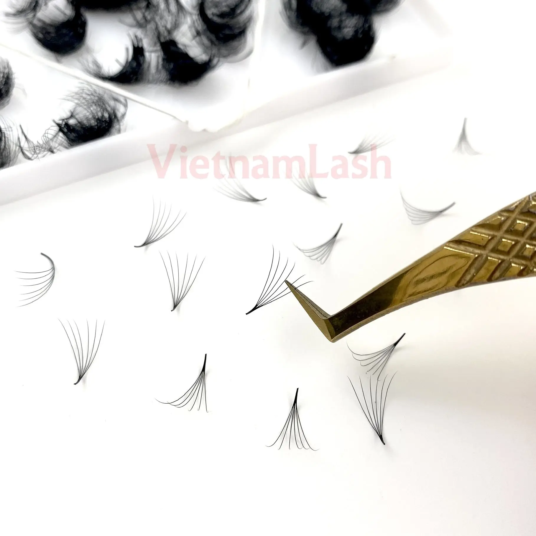 Premium 6D Loose Promade Volume Lash Fan 1000 Fans Natural Eyelash Extensions OEM Vietnam Wholesale Premade Russian Eyelashes